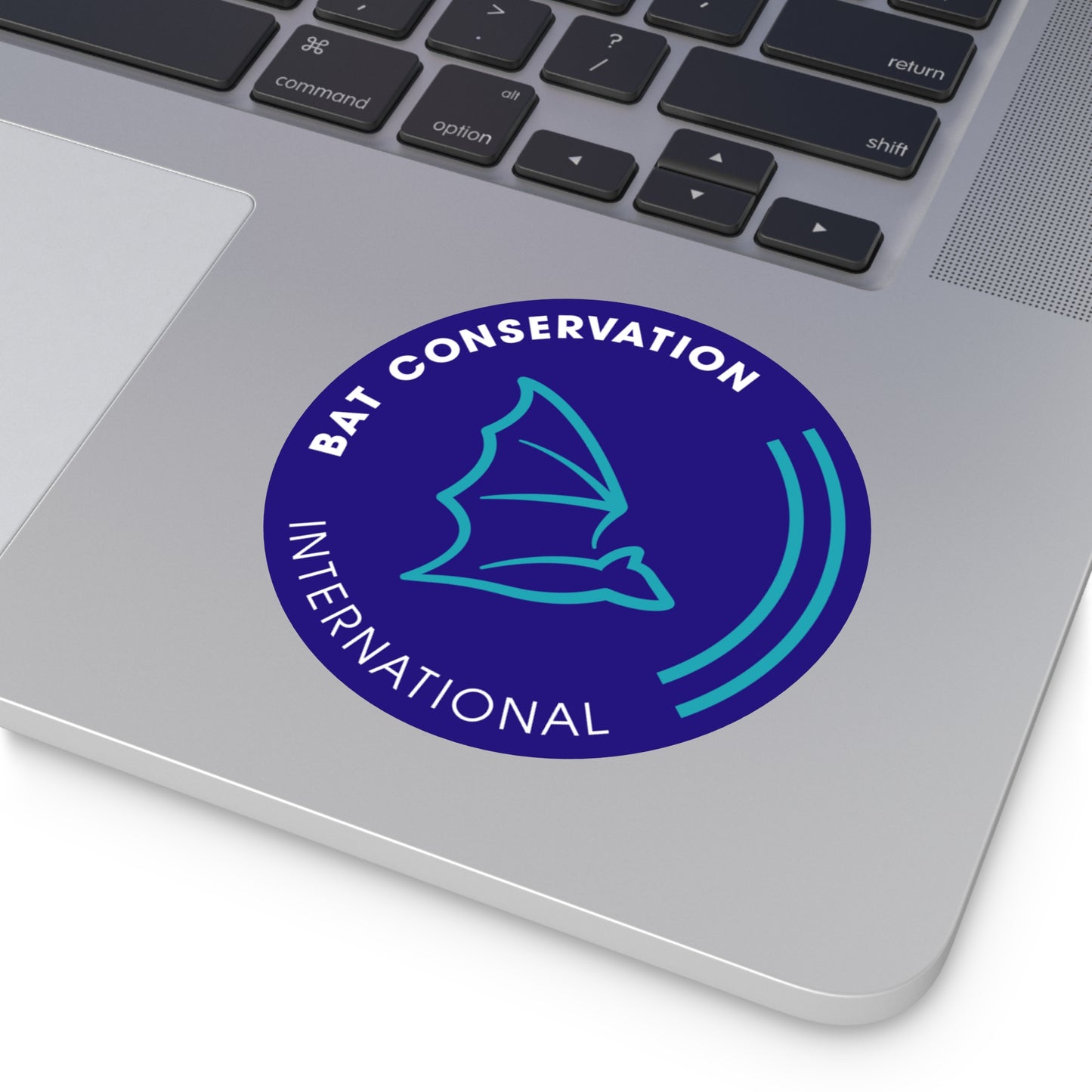 BCI Logo Sticker