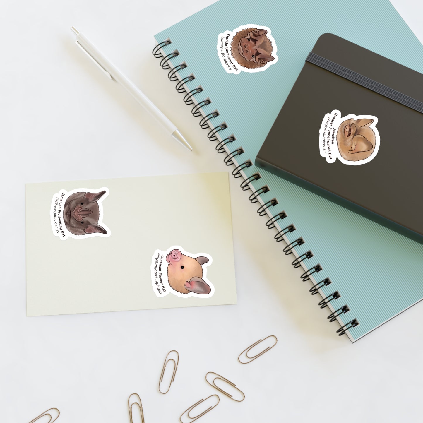 Critical Needs Bat Sticker Sheet