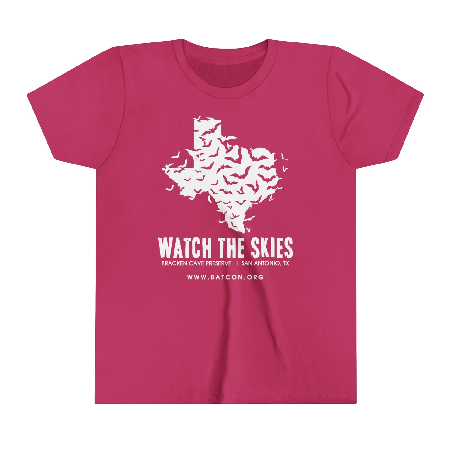 Watch the Skies - Youth Short Sleeve Tee