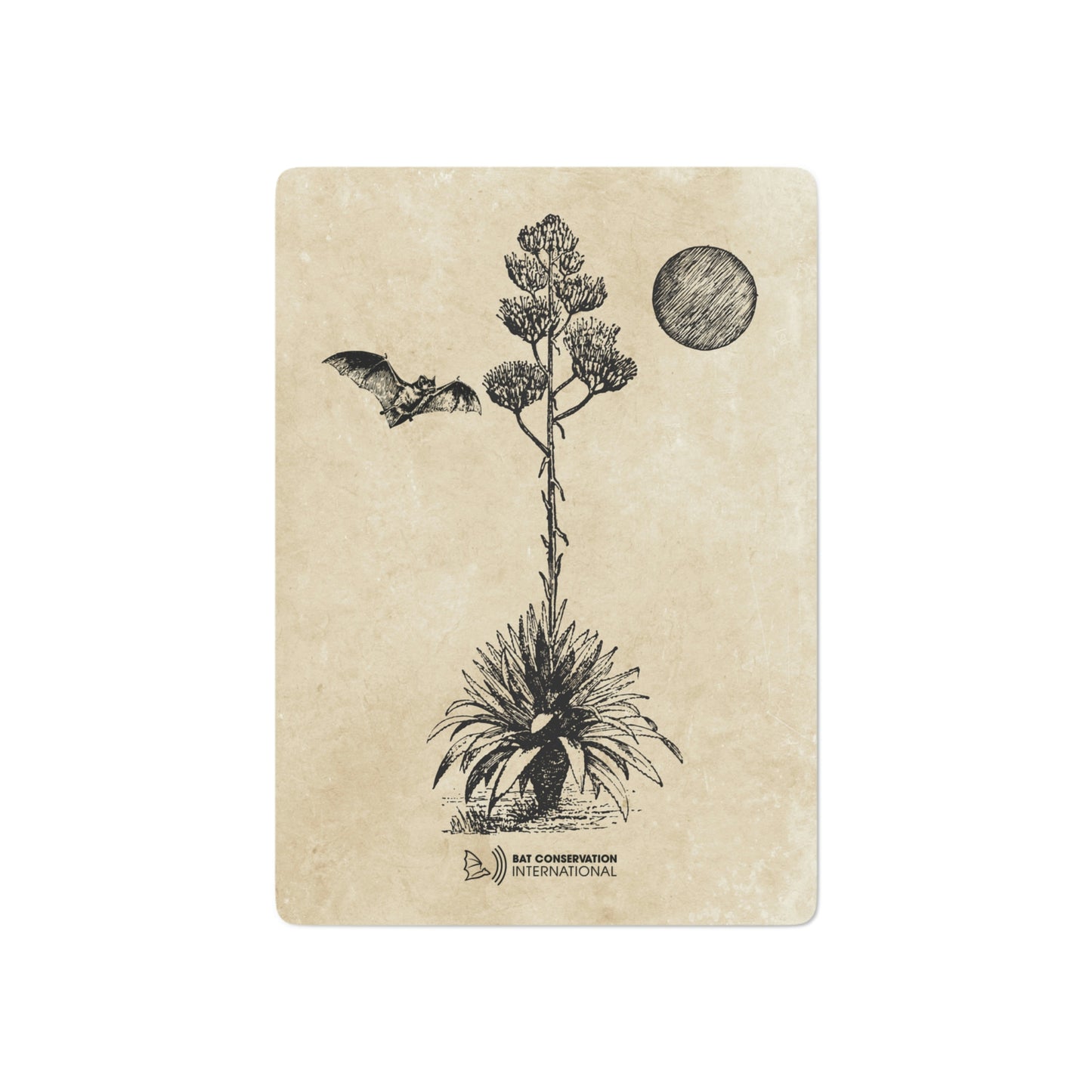 Bats & Agave Sketch - Playing Cards