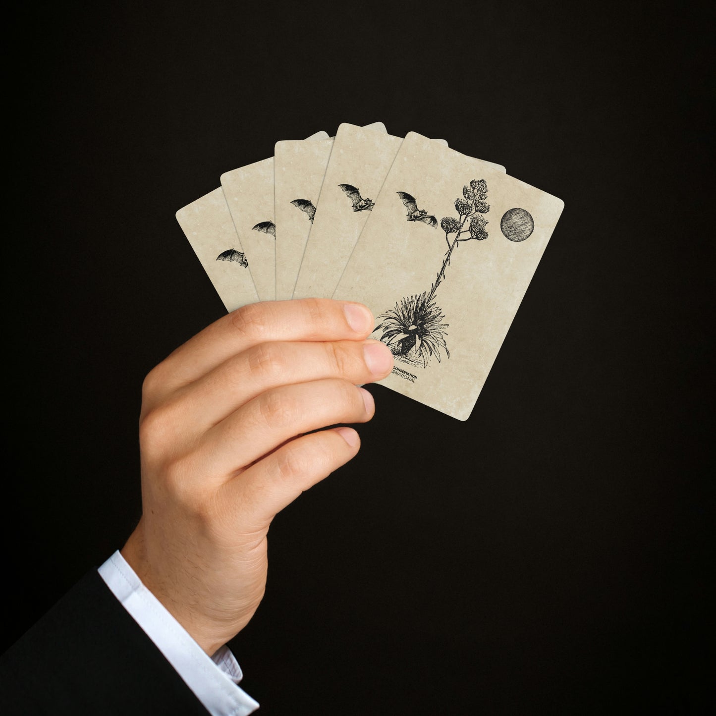 Bats & Agave Sketch - Playing Cards