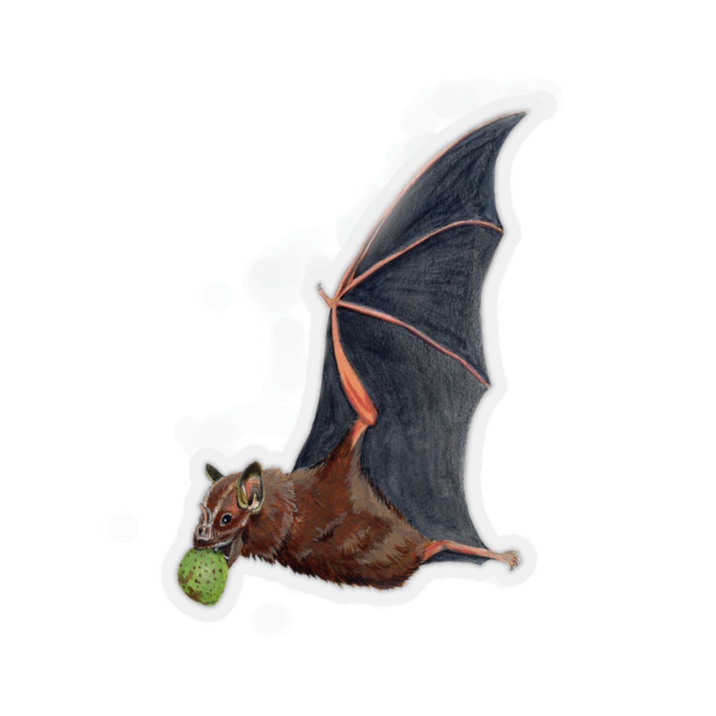 Great Fruit-eating Bat Kiss-Cut Sticker