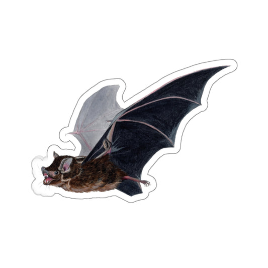 Greater Sac-Winged Bat - Pegatina