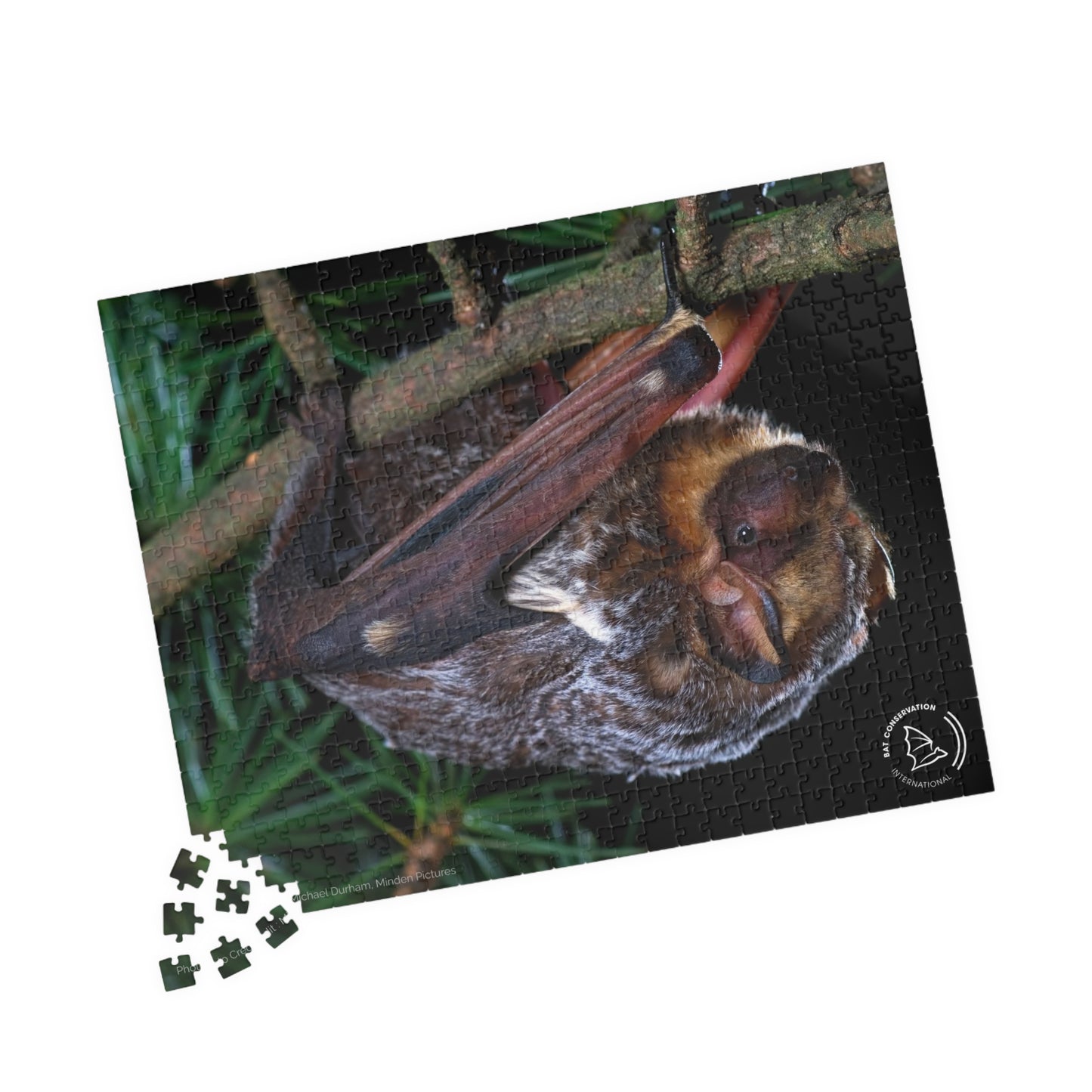 Hoary Bat Puzzle (252, 500, 1014-piece)