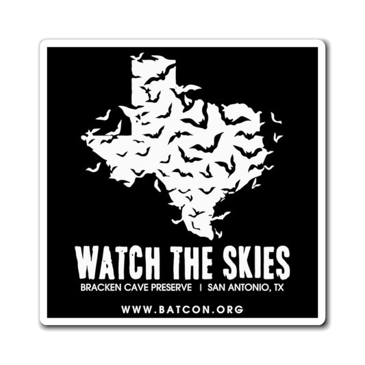 Watch the Skies - Magnet