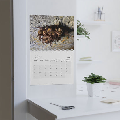2026 Calendar - Staff Photography