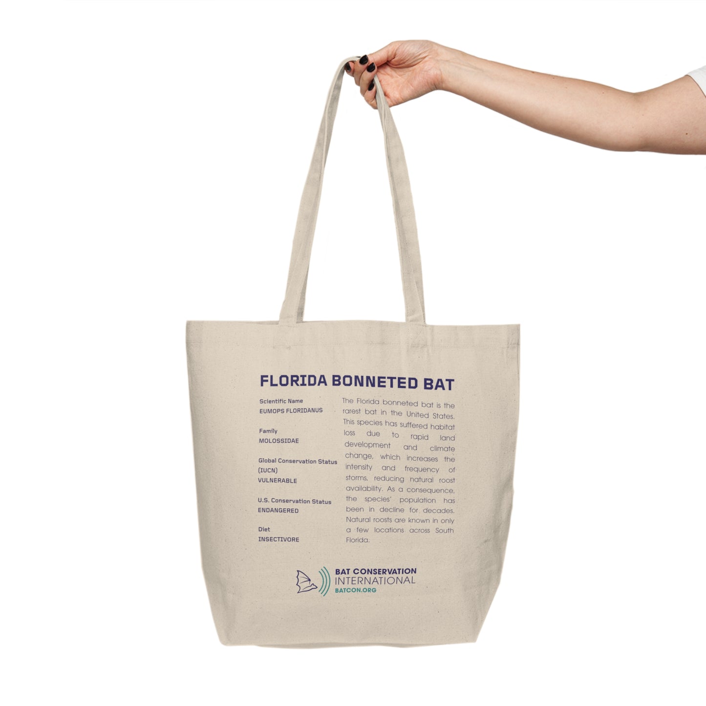 Florida Bonneted Bat - Canvas Shopping Tote