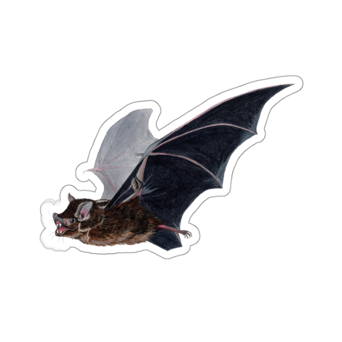 Greater Sac-Winged Bat - Pegatina