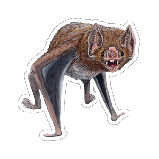 Common Vampire Bat - Sticker