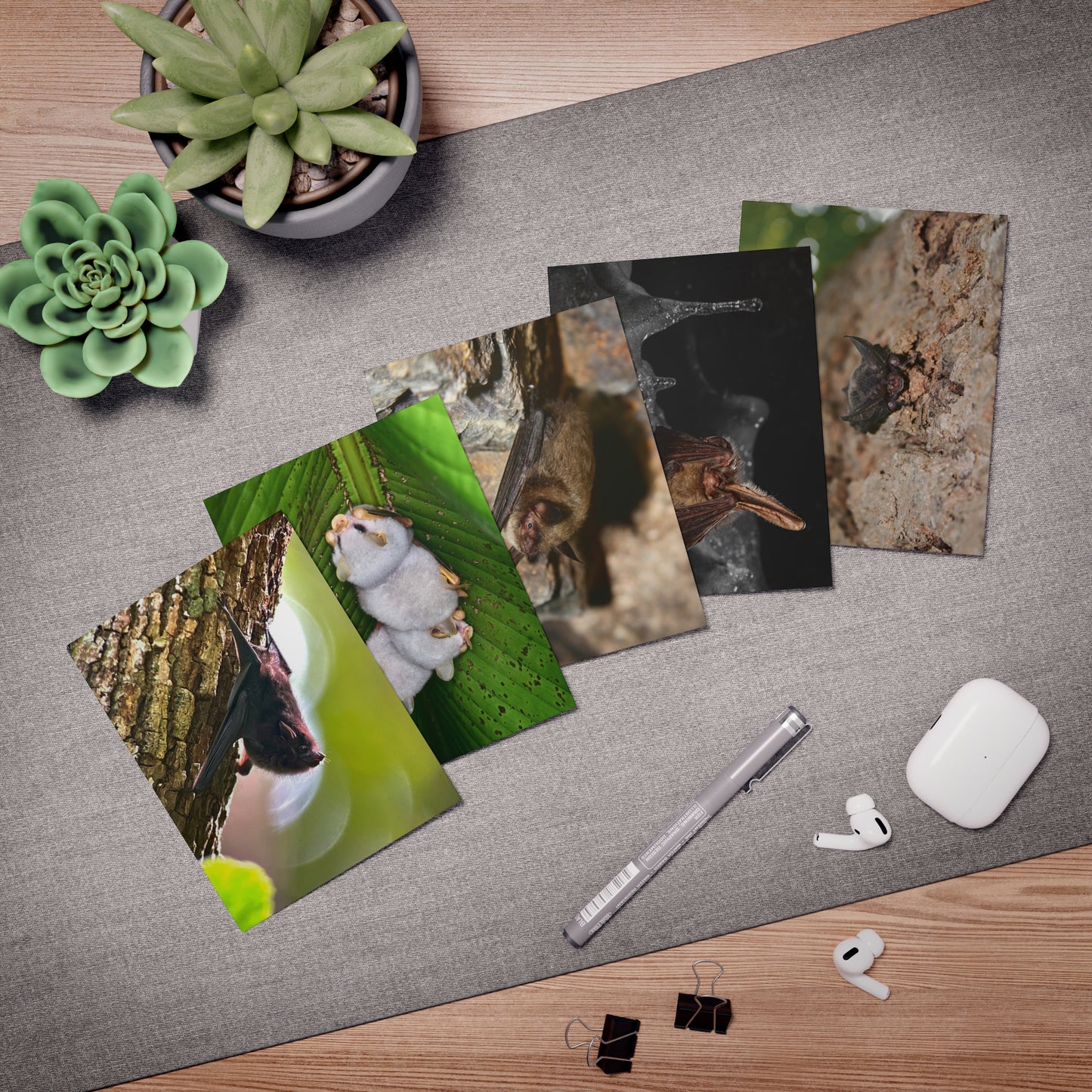 Bat Greeting Cards (5-Pack)