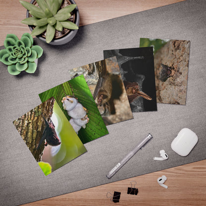 Bat Greeting Cards (5-Pack)