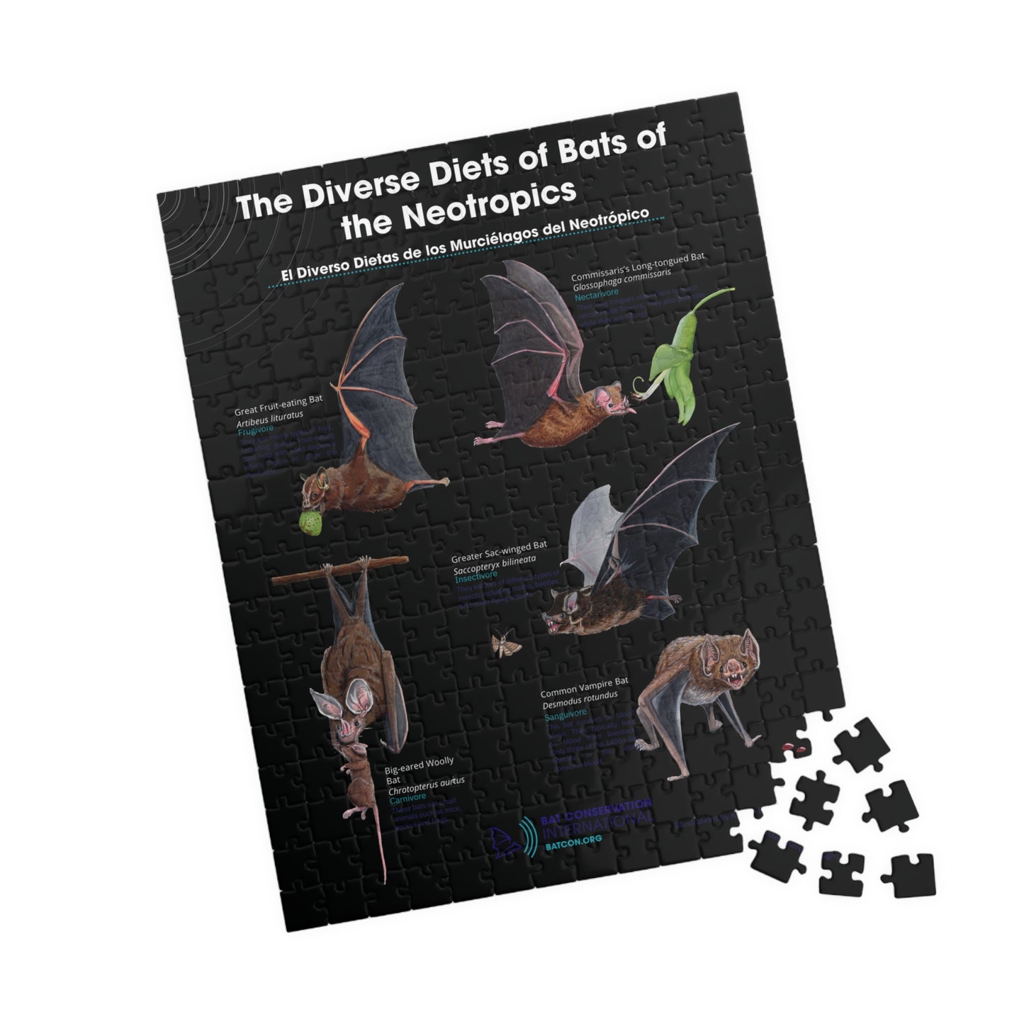 Rompecabezas de diversas dietas de murciélagos neotropicales (110, 252, 500, 1014 piezas)