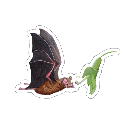 Commissaris's Long-tongued Bat - Sticker