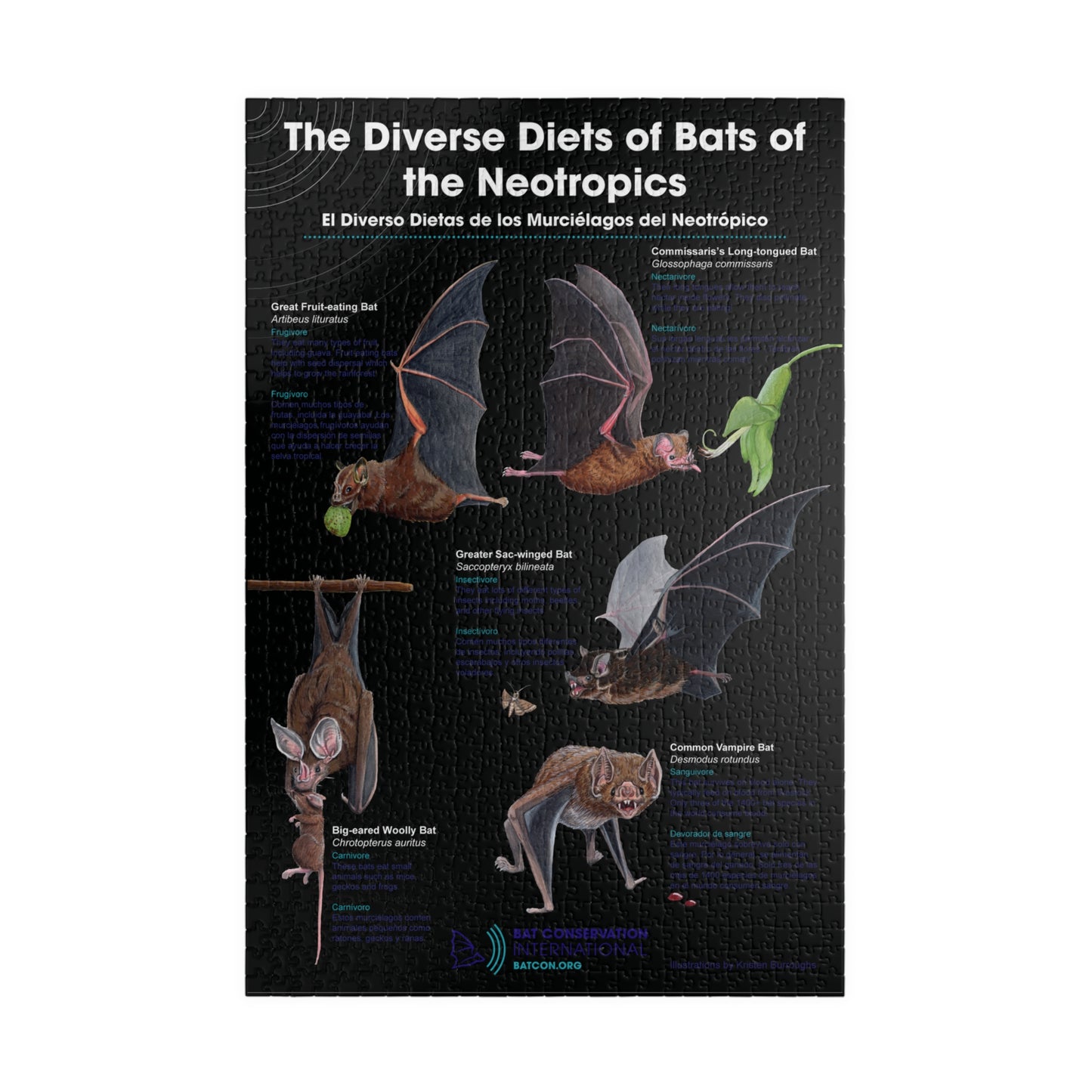 Rompecabezas de diversas dietas de murciélagos neotropicales (110, 252, 500, 1014 piezas)