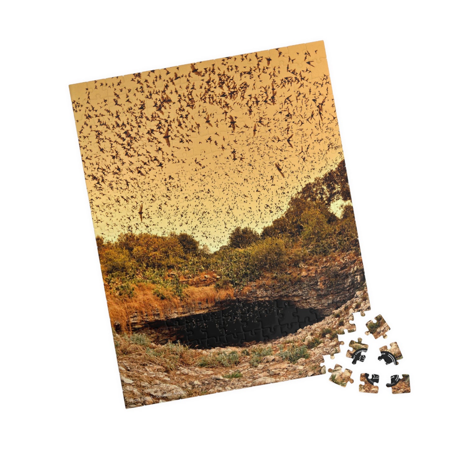 Bracken Cave Puzzle (252, 500, 1014-piece)