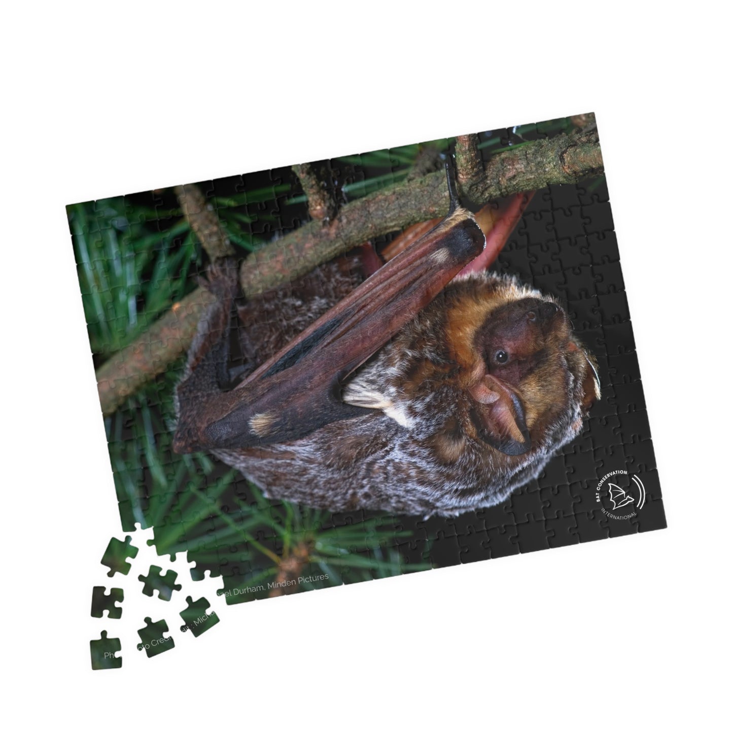 Hoary Bat Puzzle (252, 500, 1014-piece)