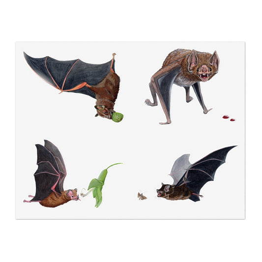 Bat Diets - Sticker Sheet