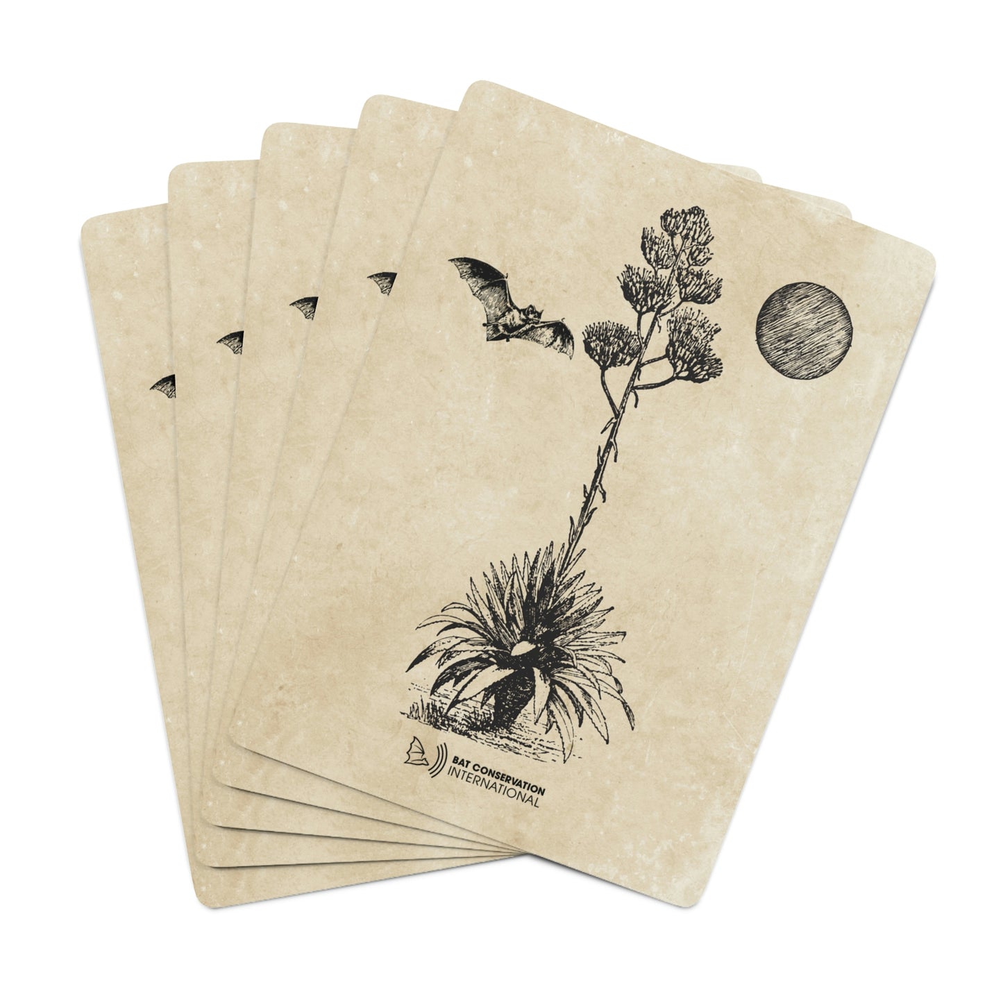 Bats & Agave Sketch - Playing Cards
