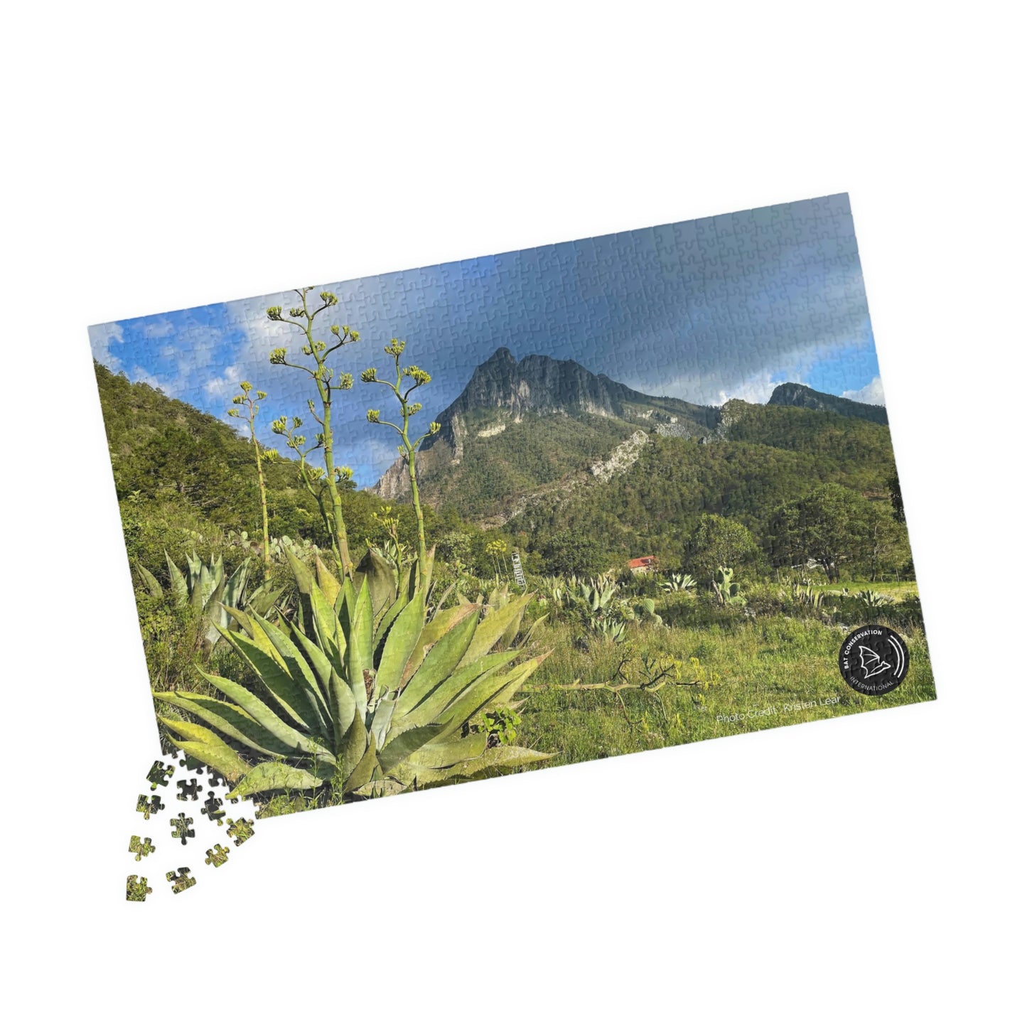 Mexican Agave Puzzle (500, 1014-piece)