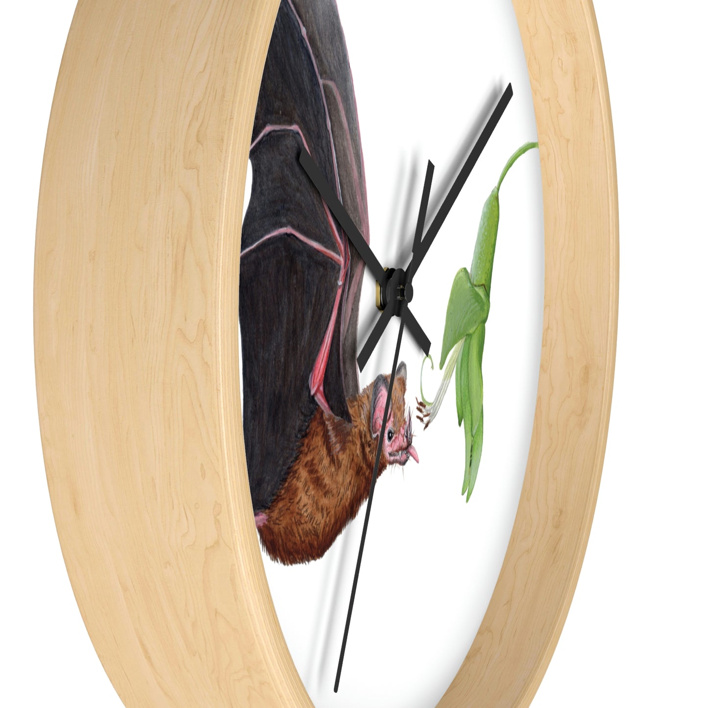 Commissaris's Long-tongued Bat - Reloj de pared 
