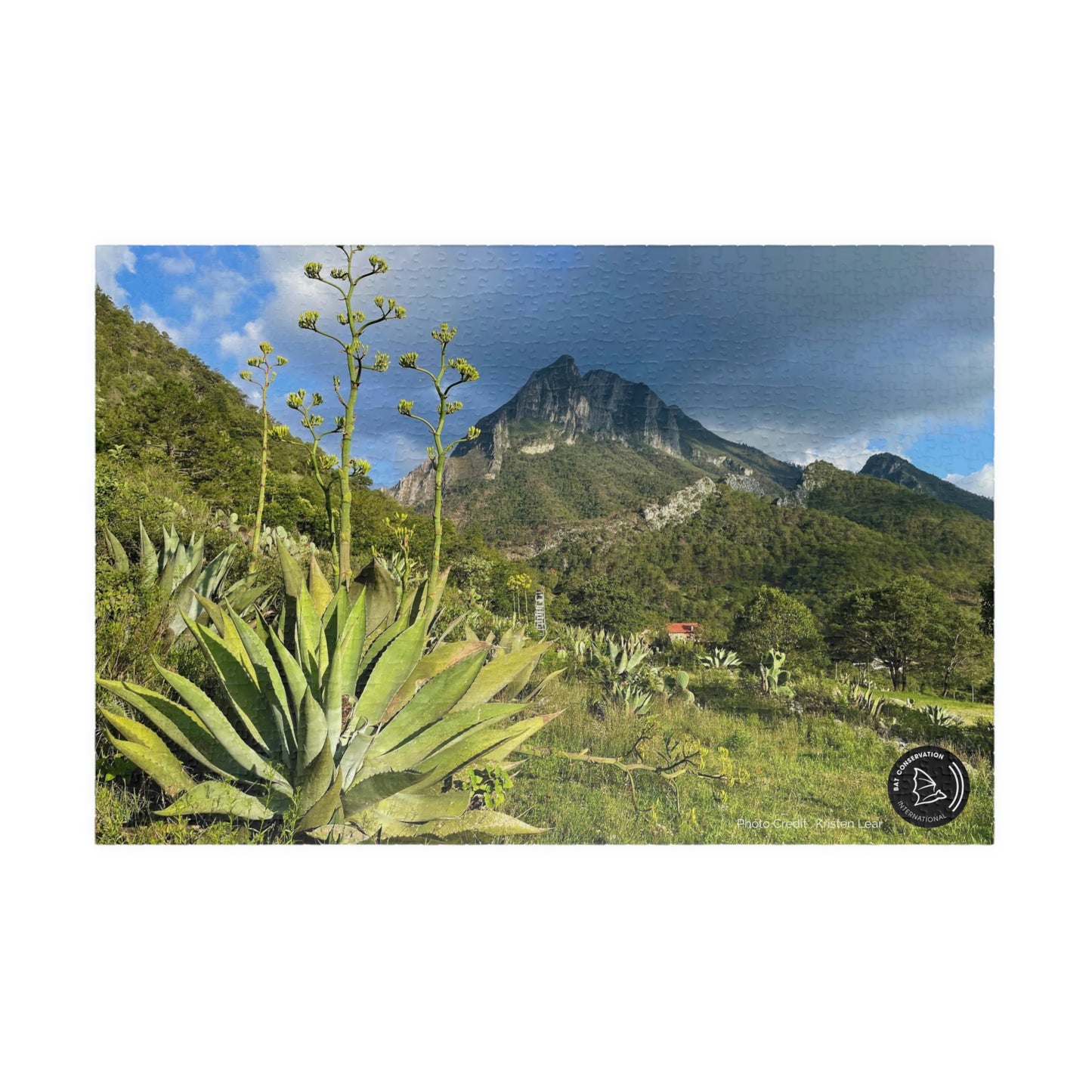 Mexican Agave Puzzle (500, 1014-piece)