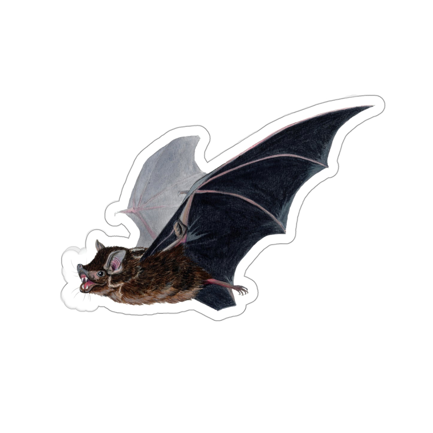 Greater Sac-Winged Bat Kiss-Cut Sticker