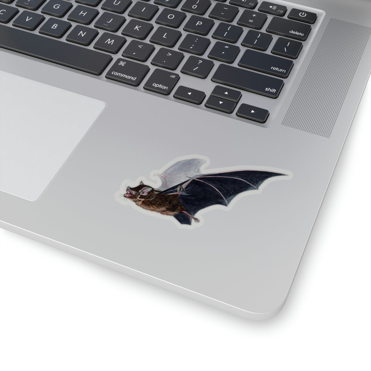 Greater Sac-Winged Bat - Pegatina