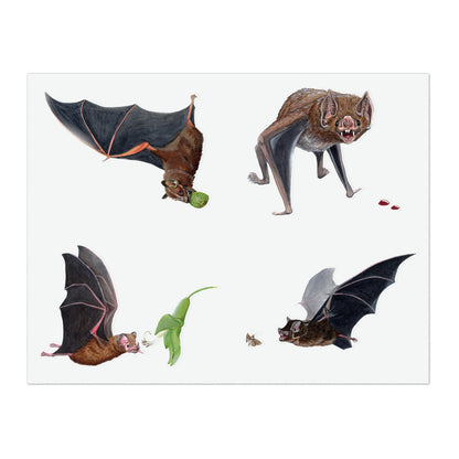 Dietas de murciélagos - Hoja de pegatinas