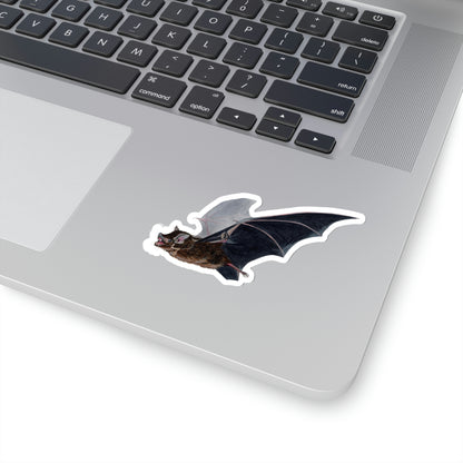 Greater Sac-Winged Bat - Pegatina