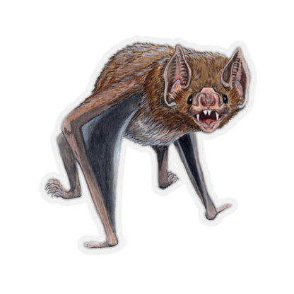 Murciélago vampiro común - Pegatino